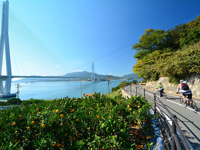 Explore natural beauty and scenic cycling in Onomichi, Hiroshima 