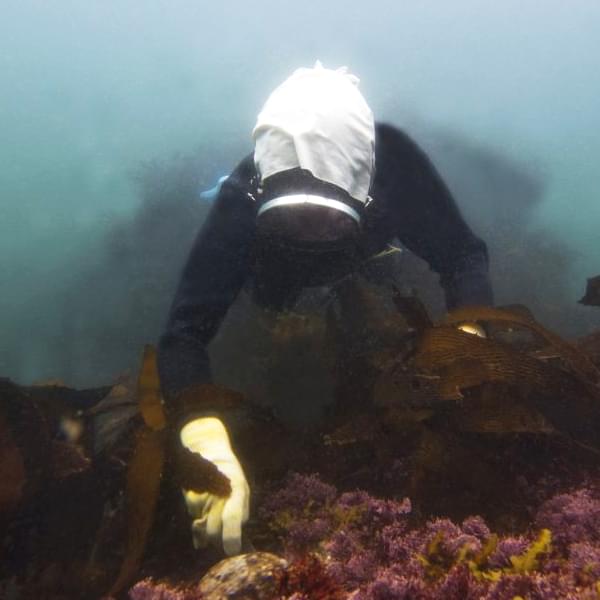 Discover Toba's Female Free Divers on a One-Day Ama-Diver Tour