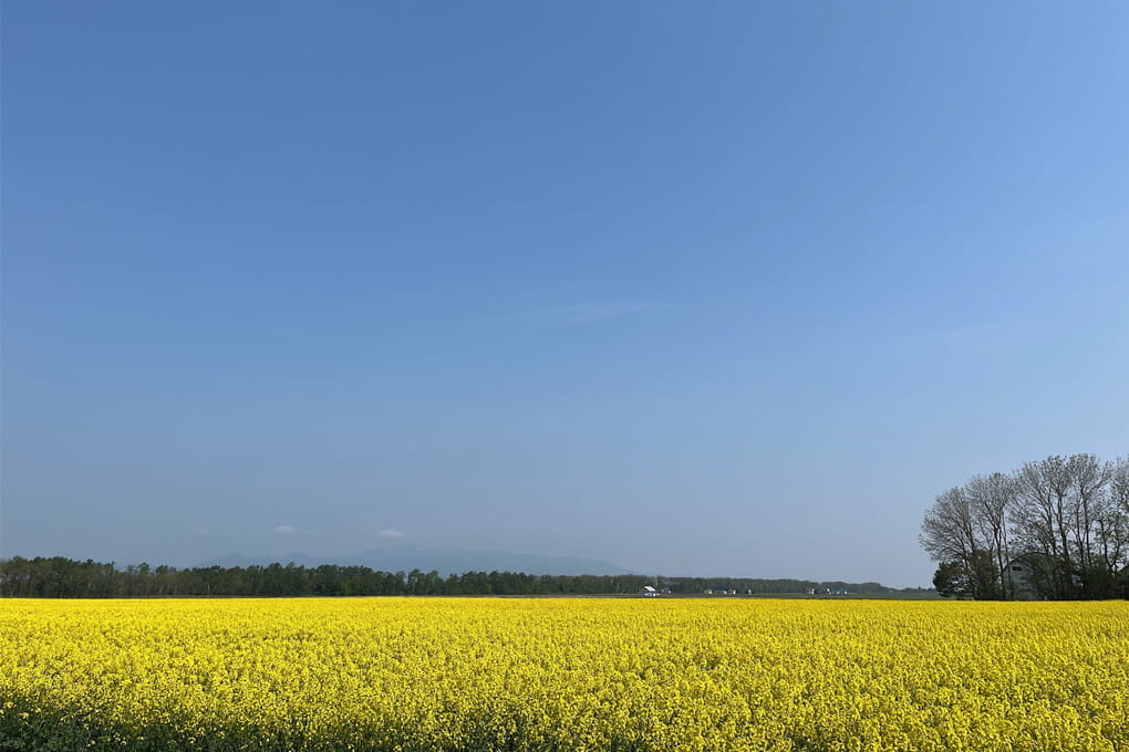 北海道 美唄市