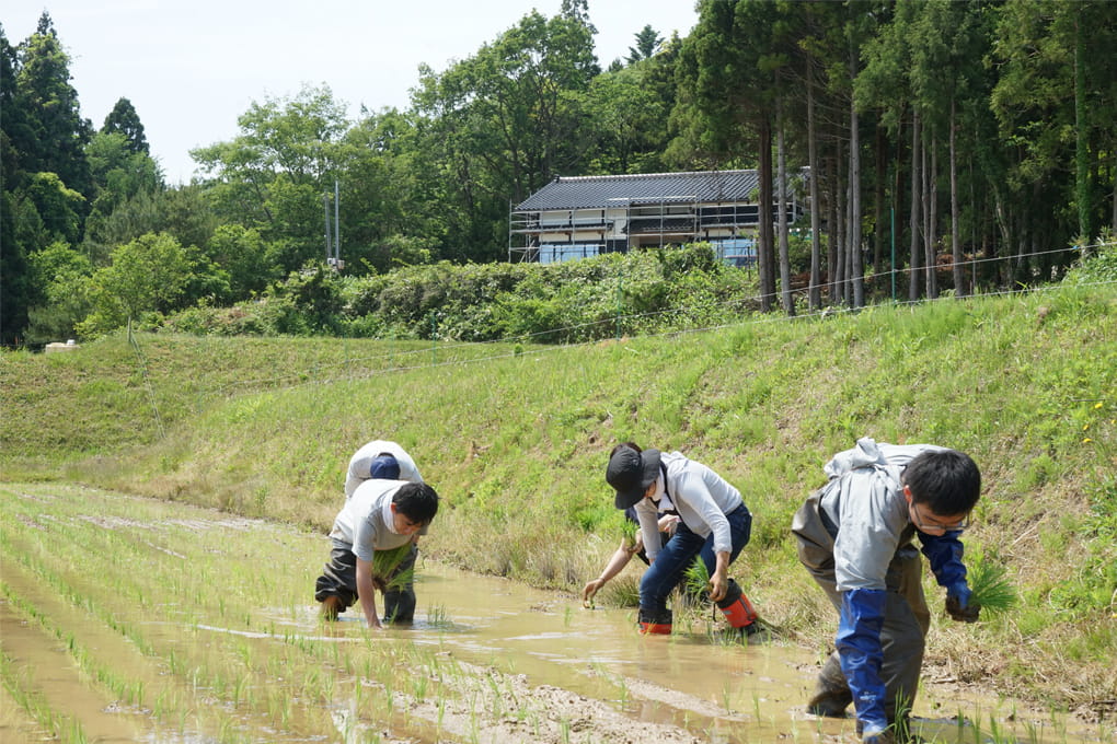 石川県 七尾市 大呑地域