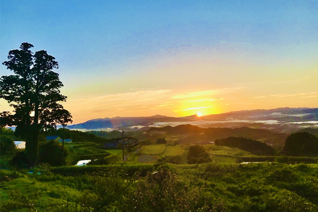 奈良県 御所市 金剛葛城山麓地区