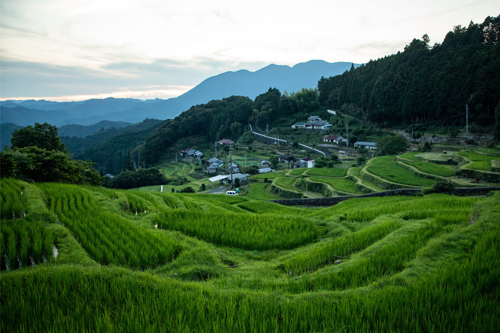 和歌山県 那智勝浦町 太田川流域