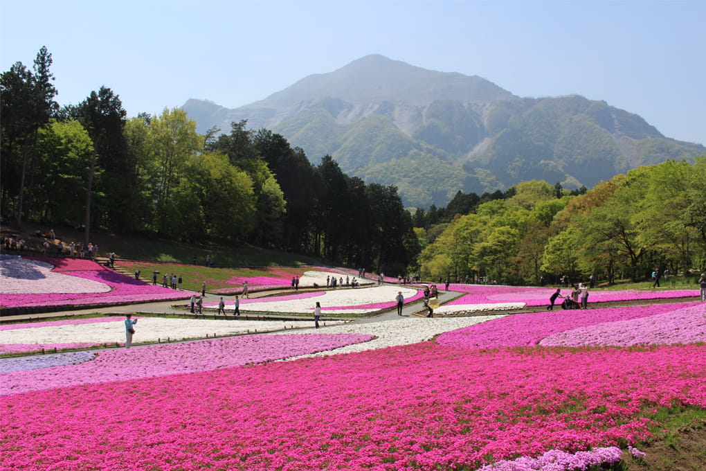 埼玉縣 秩父市・橫瀨町・皆野町・長瀞町・小鹿野町