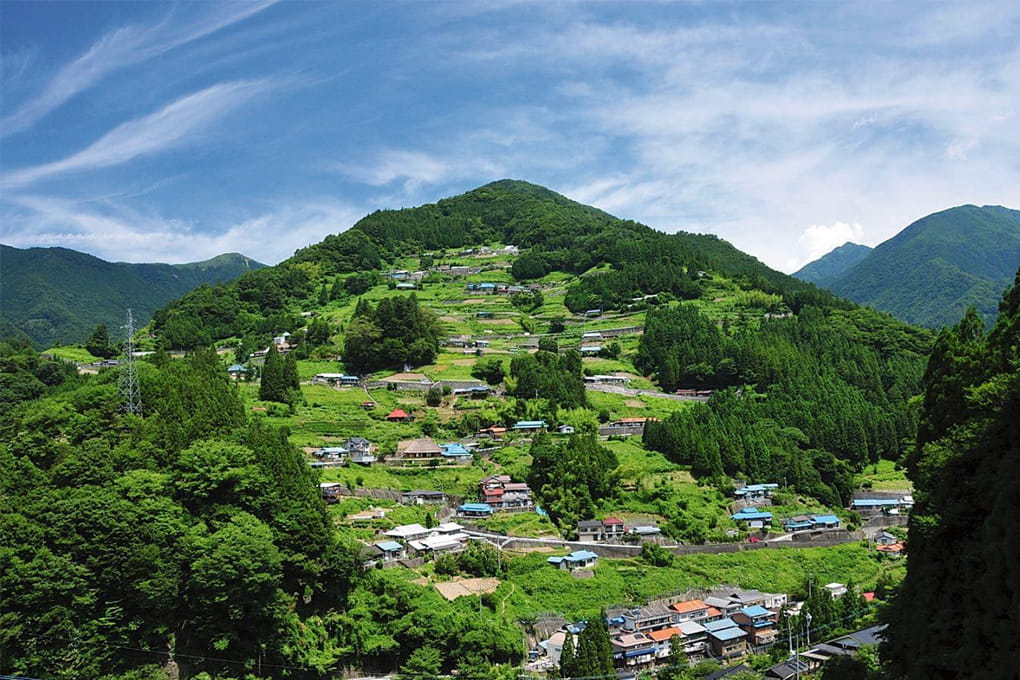 Nishi-Awa Area (Mima City, Miyoshi City, Tsurugi Town, Higashimiyoshi Town), Tokushima