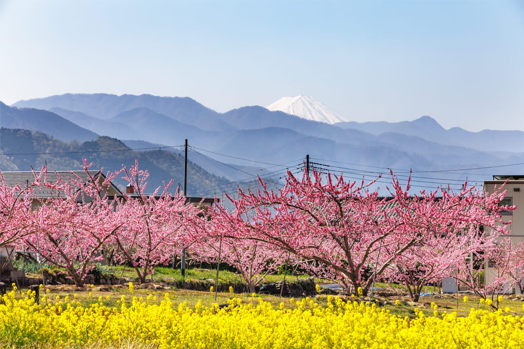 山梨県 笛吹市