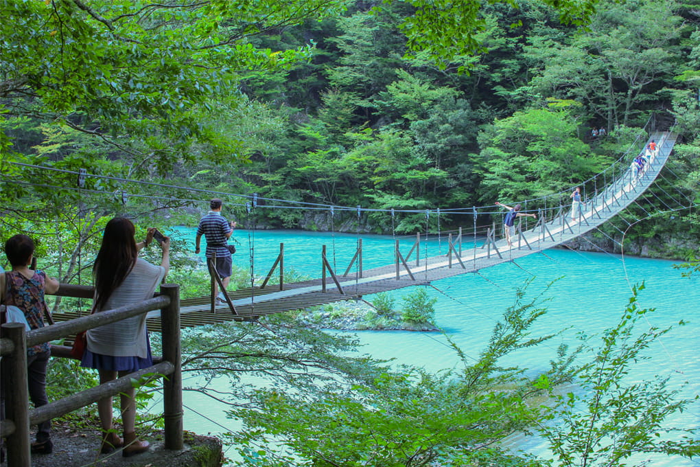 静岡県 島田市・川根本町