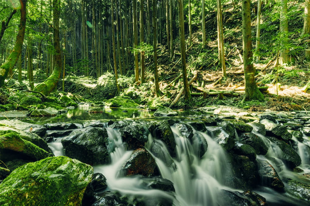 三重県 大紀町