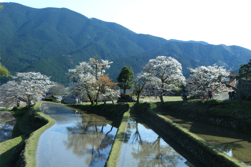 三重県 津市 美杉町